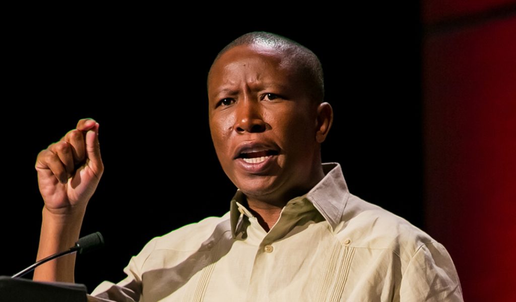 Julius Malema leader of the EFF Economic Freedom Fighters  — Photo by SunshineSeeds